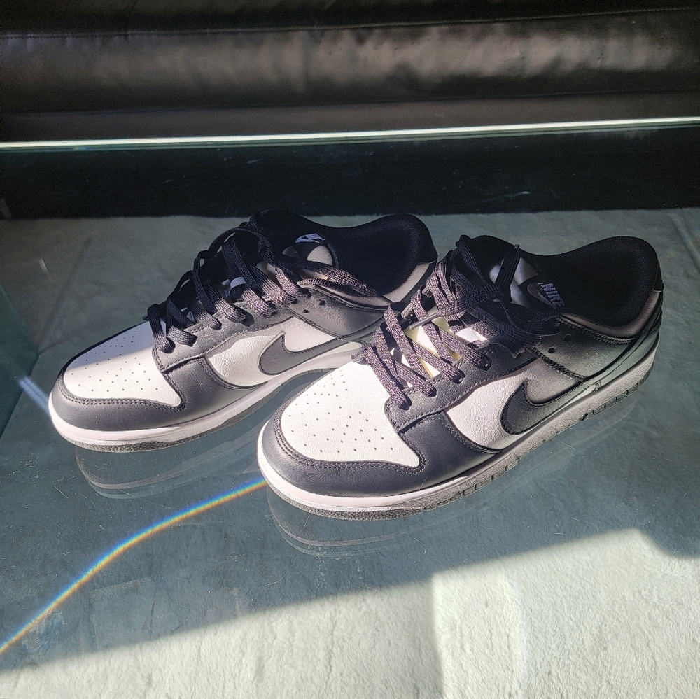 NIKE Men's Panda Dunk Low Top